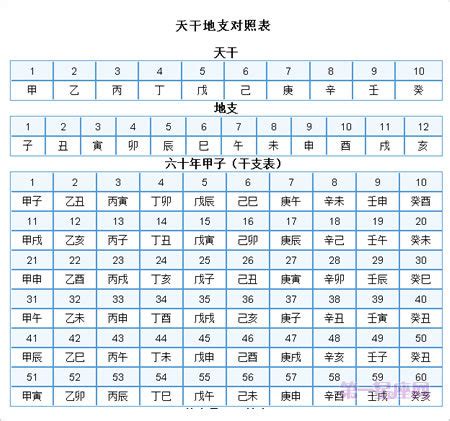 天干地支表查詢|天幹地支